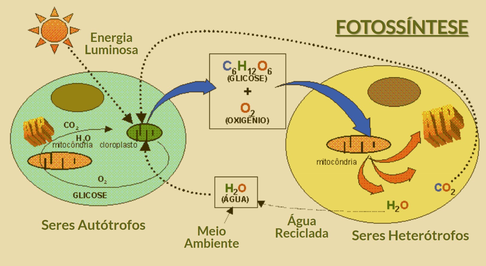 quién aprieta tus botones como manejar