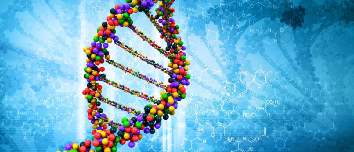 Biomoléculas ou Macromoléculas