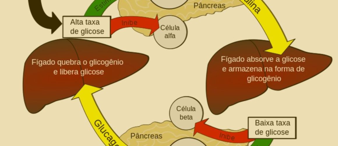 Foto de Regulação da Glicemia.