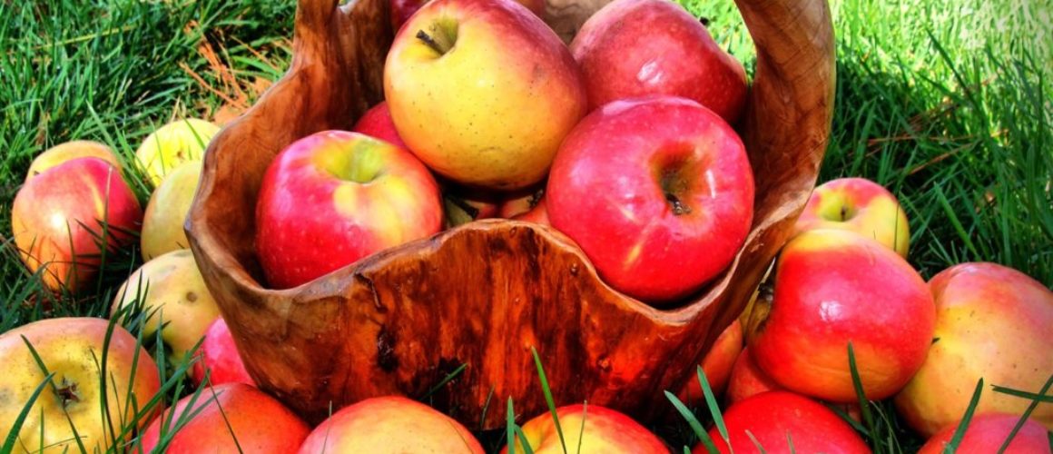 Comer Maçã Aumenta a Sensação de Fome: Será!?